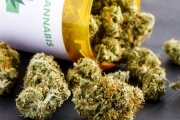 Lanzan la primera encuesta nacional de personas que usan cannabis