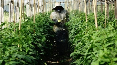 La Plata: planifican crear un distrito tecnológico agroalimentario