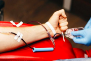 Más de 10 mil personas donaron sangre en la Provincia de Buenos Aires
