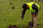La Municipalidad plantó 2.000 árboles en la ciudad