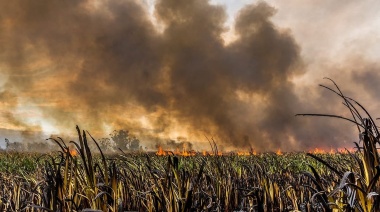 Nuevo foco de incendio en Berazategui