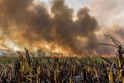 Nuevo foco de incendio en Berazategui