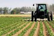 MiPyMEs agropecuarias piden créditos a tasa cero