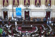 El aborto legal tiene media sanción