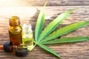 El Senado aprobó la producción de Cannabis Medicinal