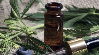 El gobierno legalizó el autocultivo