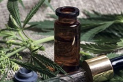 El gobierno legalizó el autocultivo