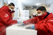 Comienza la distribución de 650.400 dosis del componente 1 de la Sputnik V