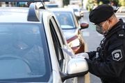 Se agotaron los permisos diarios de circulación para el regreso de argentinos varados dentro del país