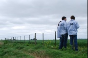 ARBA detectó maniobras de evasión por $354 millones en el sector rural