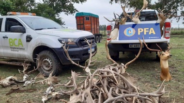Rescataron más de 300 animales en cautiverio en un predio rural