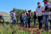 El Gobierno bonaerense analiza medidas que ayuden al desarrollo productivo