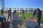 Campana: jóvenes voluntarios realizaron mantenimiento en la Costanera