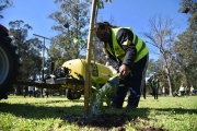 Avanzan las tareas de forestación en el Bosque platense