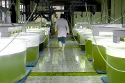 Piden el "urgente tratamiento" del proyecto sobre biocombustibles