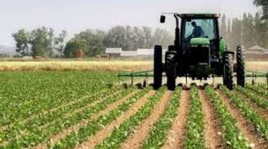 MiPyMEs agropecuarias piden créditos a tasa cero
