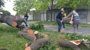 Avanza el operativo de asistencia tras el temporal de viento en la ciudad