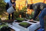 La Plata: instalan una huerta en un barrio humilde para incentivar “la soberanía alimentaria”