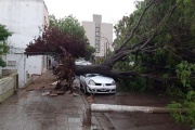 Tras tormenta de viento, EDELAP normaliza el 95% de los clientes a afectados