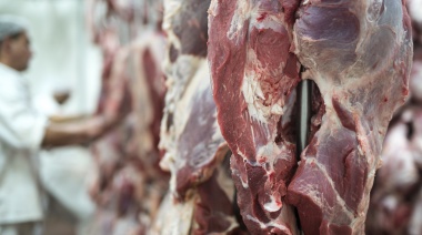 Incertidumbre: ¿Qué va a pasar con las exportaciones de carne?