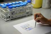 Aseguran que la Provincia “duplicó” la capacidad de testeo para coronavirus