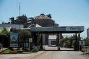 Vicentin: El director del Banco Nación señala