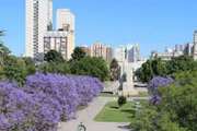 Bahía Blanca: Ocho personas detenidas por festejar un cumpleaños