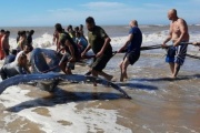 Villa Gesell: rescataron a una ballena encallada 