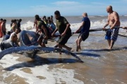 Villa Gesell: rescataron a una ballena encallada
