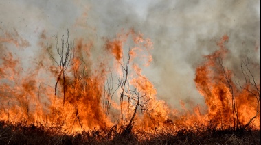 “Las emisiones por los incendios en el delta equivalen a más de 700 mil autos circulando un año”
