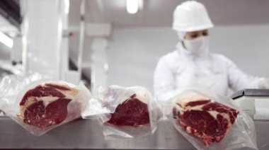 Las exportaciones de la carne crecieron 13% en mayo