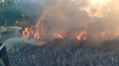 Reserva de Punta Lara: gran tensión por nuevos focos de incendio