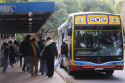 Este domingo, viaja gratis a votar
