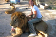 Escándalo y Clausura del zoológico, conocido por prácticas dudosas con los animales