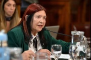 Denuncian a los 35 senadores oficialistas que votaron el pliego de la ex jueza Ana María Figueroa