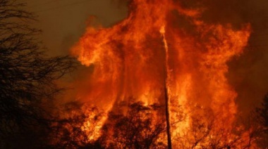 Declaran la emergencia agropecuaria