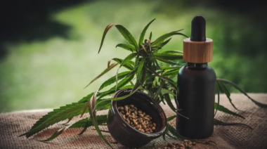 El gobierno bonaerense presentó el proyecto de ley que autoriza el autocultivo de Cannabis