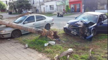 El tránsito: ¿espejo de un país?