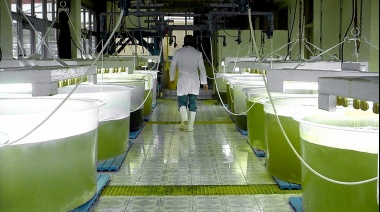 Piden el "urgente tratamiento" del proyecto sobre biocombustibles