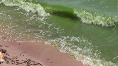 Se implementan las banderas de cianobacterias en las playas de Punta Lara y Berisso