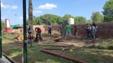 Conflicto en Ensenada por la tala de árboles en un predio histórico