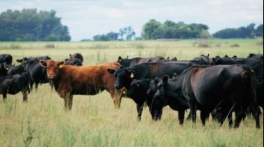 Aseguran que Buenos Aires tiene capacidad para dar el salto productivo y de calidad en ganadería