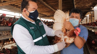 El Senasa se deberá enfrentar a nuevos retos: Influenza aviar, sequías y aporte a futuras exportaciones