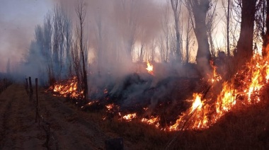 En Tierra del Fuego les preocupa que los incendios lleguen a los campos ganaderos