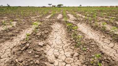 Pequeños productores marplatenses reclaman asistencia por la sequía