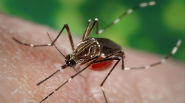 Los contagios de dengue confirmados llegan a los 16.143 en todo el país