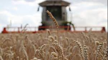 El Estado continúa recaudando a pesar de las pérdidas de los productores por la sequía