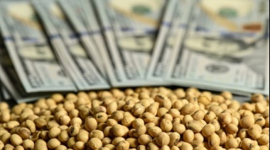 Dólar soja 3 y su mal comienzo