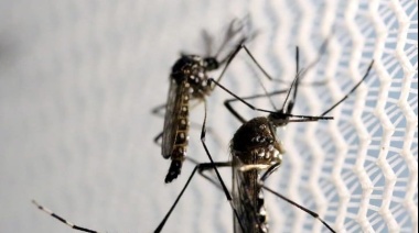 Pronostican un evento climático atípico: se suman riesgos en plena epidemia de dengue