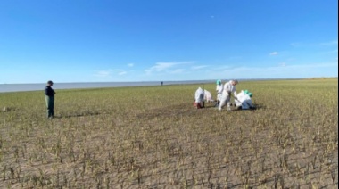 Oiltanking comunica los avances sobre el derrame